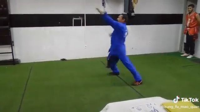 kung Fu Mao, Tau Lu Shaolim смотреть онлайн