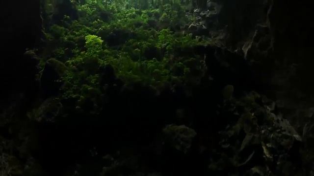 Пещера Шондонг самая крупная и красивая пещера в мире смотреть онлайн
