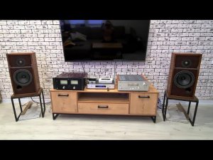 SONY LA VOCE SS-5S + Yamaha A-S2100