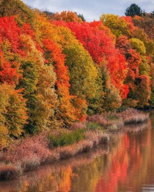 Добрый День! Музыкальная Открытка!