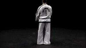 Саджу Макги видео тхэквондо туль белый пояс 2 комплекс, 10(3) гып, хьенг Saju Makgi вид сзади спорт