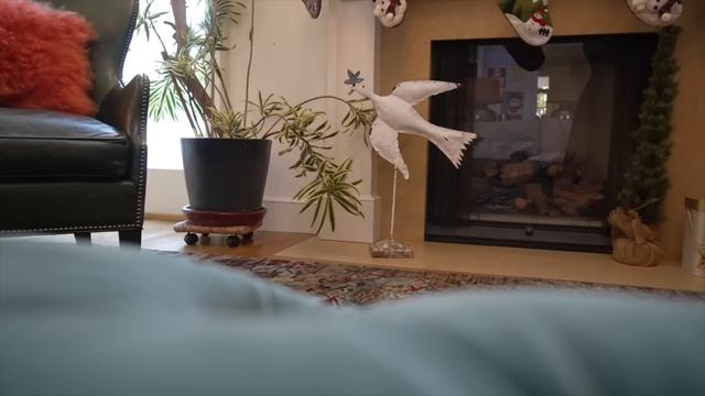 I completed the STUPIDEST CHALLENGE смотреть онлайн