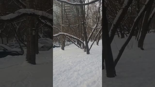 Вороны зимой смотреть онлайн