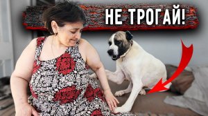 Ричи СБЕЖАЛ . Как рана Томаса? Нукер лезет на голову. Купили наконец мясорубку.Опасные игры с Басей