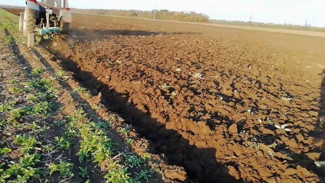 Пахота огонь. Как пашет плуг Бомет с отвалами ПЛН. смотреть онлайн