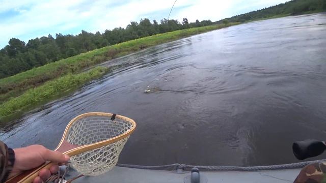 ГОЛАВЛЬ СПЛАВОМ! смотреть онлайн