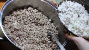 Чем кормить хорька?