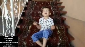 Дадамга ичирманглар Улугбек Рахматуллаев кушиги Бехрузбек Нуриддинов талкинида!