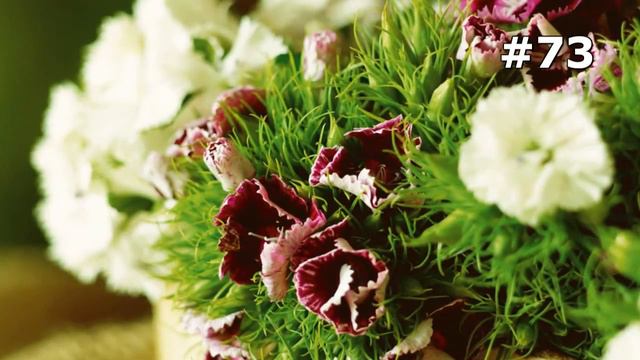 #73. Цветы и растения - самые лучшие цветы смотреть онлайн