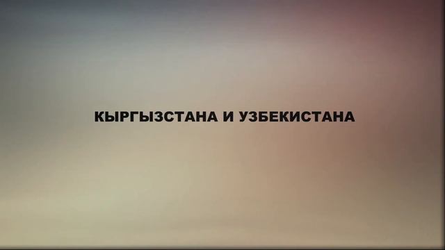Reality Show Transformation смотреть онлайн