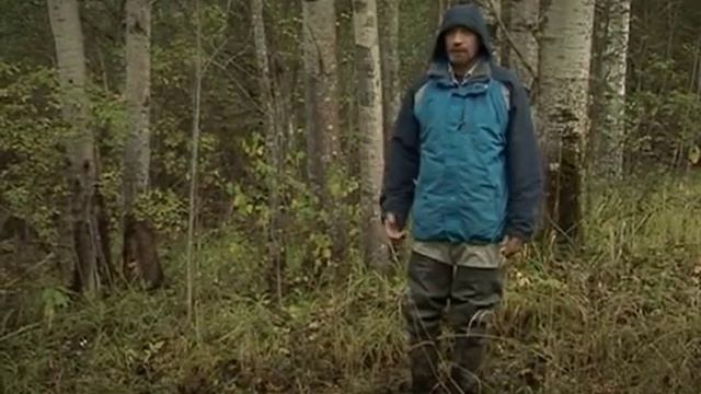 Следопыт "Лоси, косули" смотреть онлайн