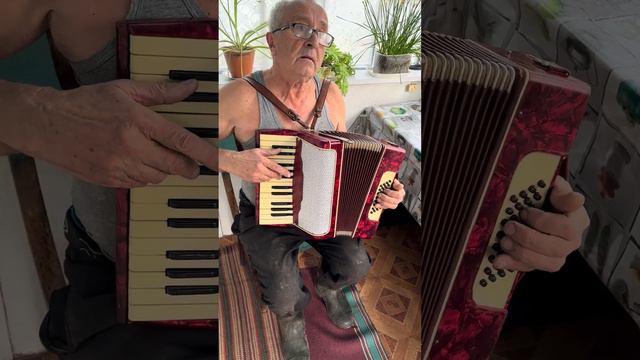Accordion Firotti, 1/2 Accordion, 32 Bass, 26 Keys, 2 Voice, Musical Instrument, New Straps, ON SAL