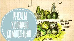 Садовый скетч на примере хвойной композиции