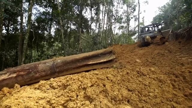 Borneo: The Jungle Convoy | Deadliest Journeys смотреть онлайн