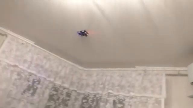 Антигравитационная машинка WALL RACER! WALL RACER купить ОРИГИНАЛ. смотреть онлайн