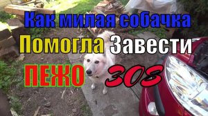 Если Пежо 308 не заводится!Автоэлектрика опять подвела.