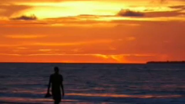 Francis Goya - La Playa