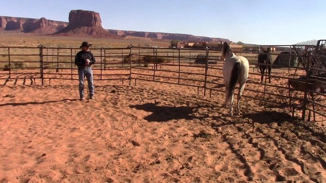 Wild Mustang Training Silver Day 1 смотреть онлайн