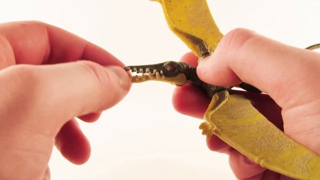 NEW Jurassic World Mattel Dino Rivals Rhamphorhynchus Review! || Best Mattel Pterosaur? смотреть онлайн
