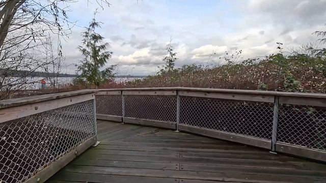 Best Microphone for GoPro Hero 11 Black? 8 Mics Tested! смотреть онлайн