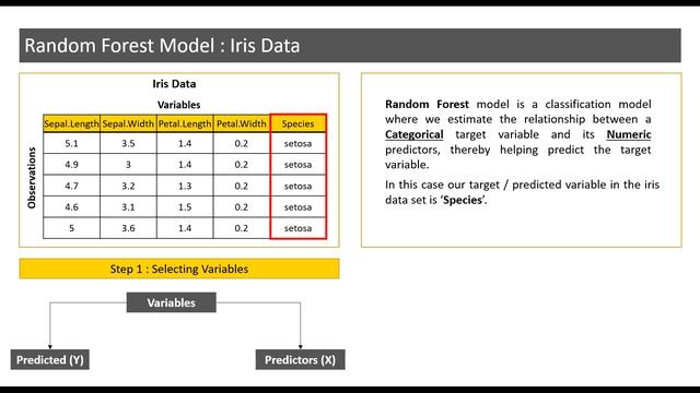 Random Forest Model - Iris Data смотреть онлайн