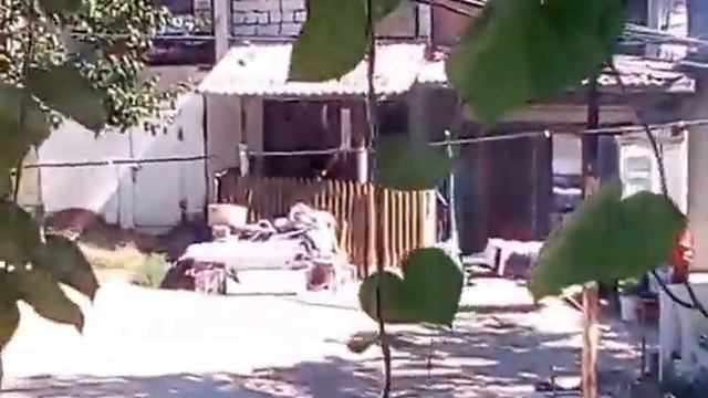 соседи по фамилии Гыра смотреть онлайн