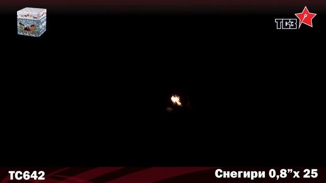 ТС642 Снегири (0,8"х25) смотреть онлайн