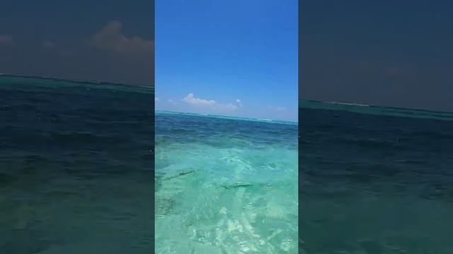 Canto de la Playa 9:00 am смотреть онлайн