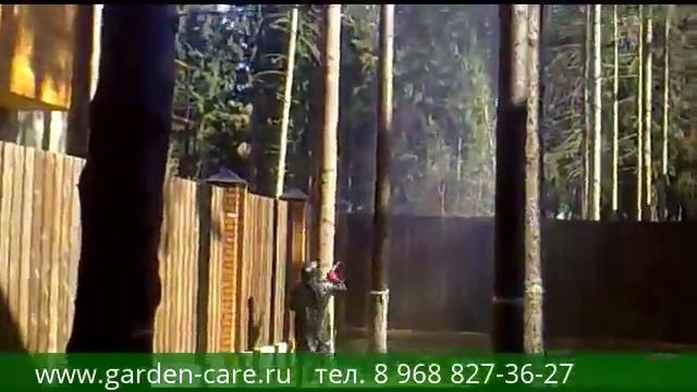 Борьба с короедом Москва и подмосковье Обработка инсектицидами деревьев смотреть онлайн