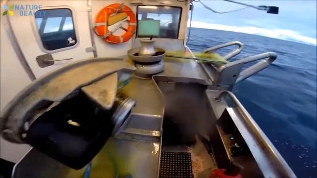 Промысловая рыбалка! Ловля и переработка рыбы на корабле, большой улов в море. Commercial fishing смотреть онлайн