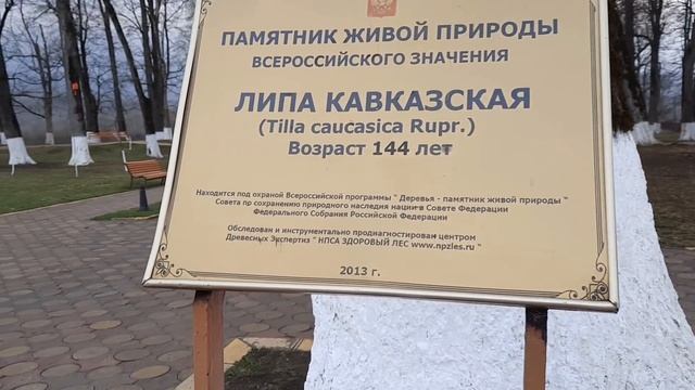 Прогулка по Ведено .Центр.Парк. смотреть онлайн