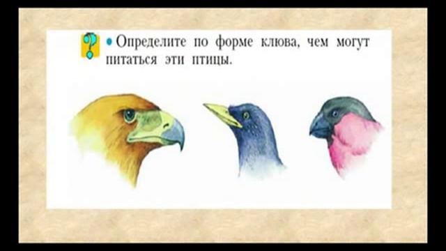 Курс «Окружающий мир» в системе Л.В. Занкова, 3 часть смотреть онлайн