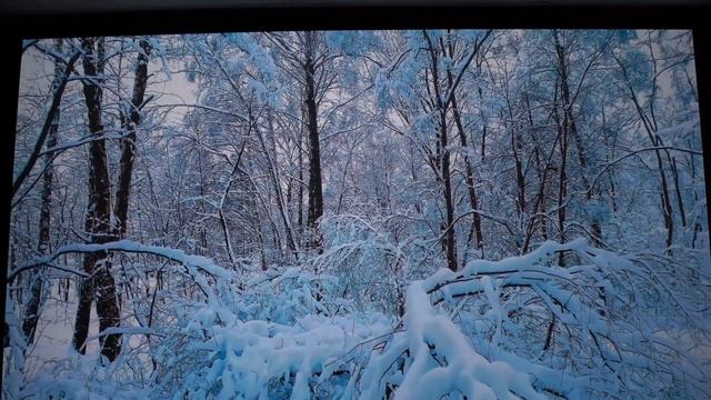 Sony VPL-XW7000ES Projector 4k Video Demo смотреть онлайн