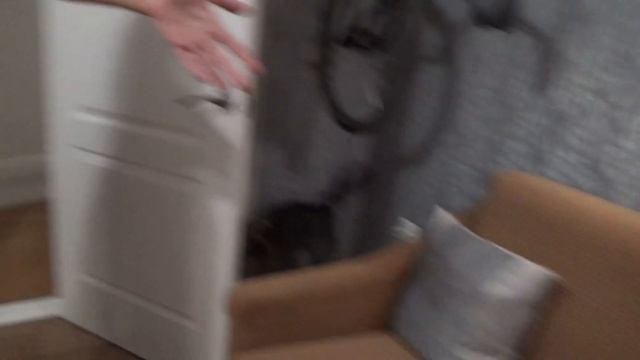 Как выгуливать 2 стаи крыс в одной квартире? Не повторяйте за нами ;) смотреть онлайн