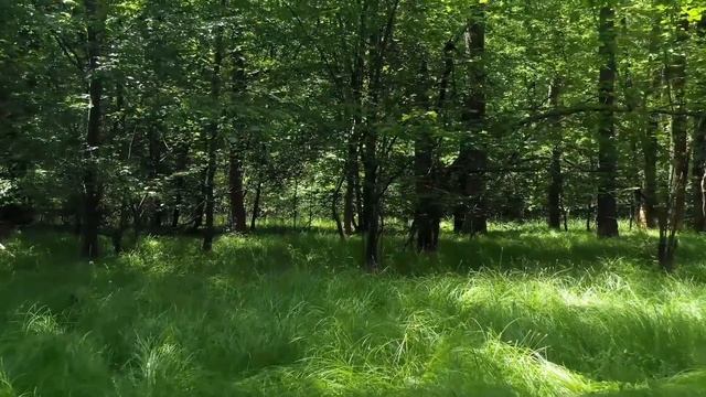 Дочь сбежала от родителей-алкоголиков в подвал и поселилась в коробке. Это был шок для всех смотреть онлайн