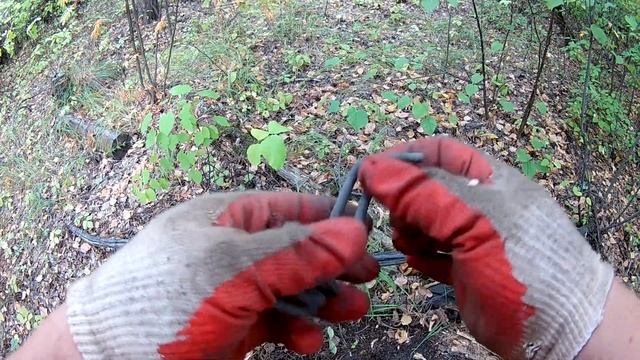 Мусорный сталк (заросшая дорога, где много лет не ступала нога человека). Часть III.