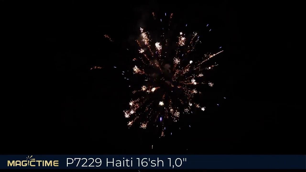P7229 Haiti смотреть онлайн