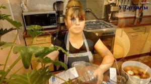 ЛУК на ПЕРО в БУТЫЛКЕ! Как вырастить зеленый лук в бутылке на подоконнике