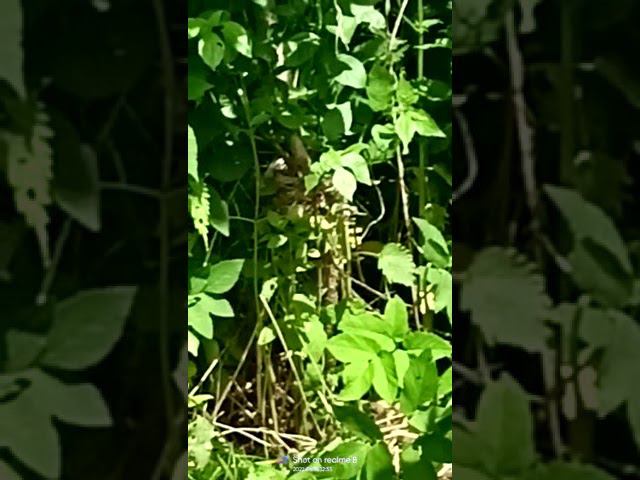 19 июня 2022 г. смотреть онлайн