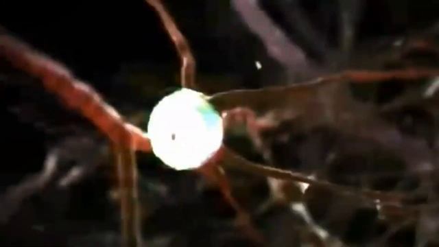 Философия Причесок