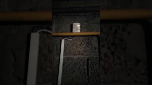 Перезапуск газоанализатора СГК