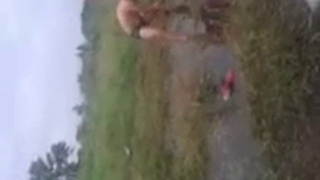 23 октября 2018 г. смотреть онлайн