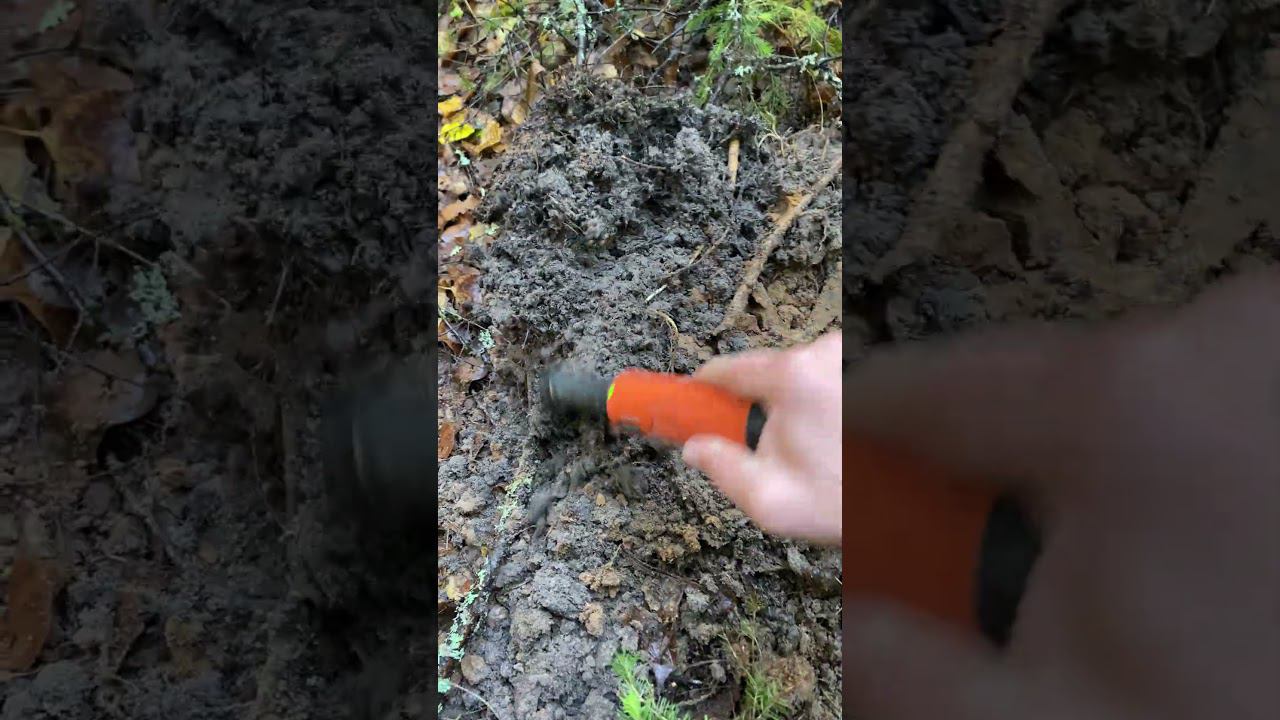 На копе они часто попадаются!!! #2023 #коп #лес #металлоискатель #находкисметаллоискателем