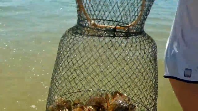 Рапаны и крабы смотреть онлайн