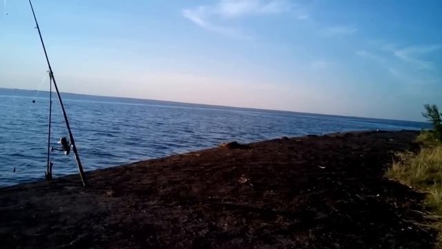 Ловля сома.на донку! смотреть онлайн