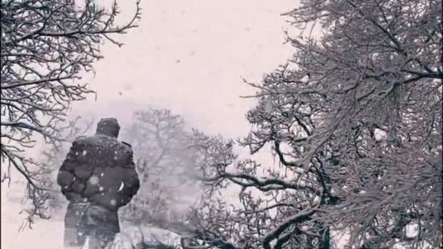 Адамо Сальваторе — Tombe la neige (И падал снег) смотреть онлайн