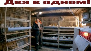 Бюджетный "ДВА в ОДНОМ" - большой брудер для цыплят и клетка для бройлеров своими руками!