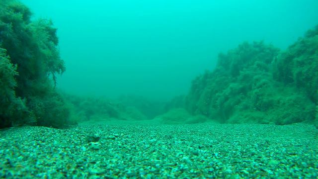 Богатое Черное море августа. смотреть онлайн