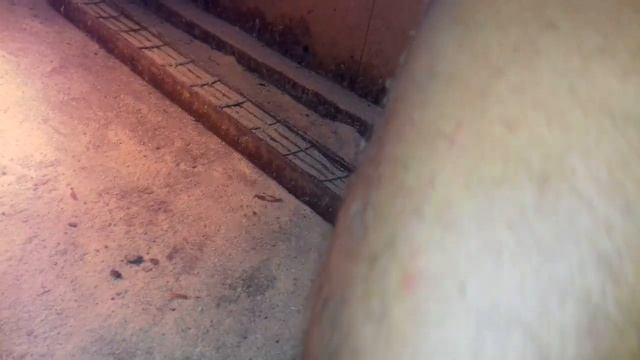 С инкубатора в брудер! смотреть онлайн