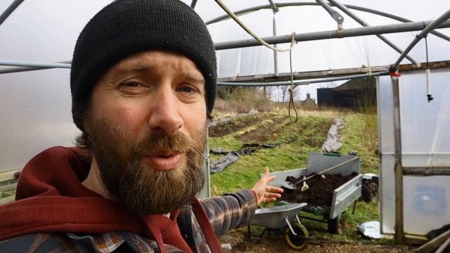 PLANTING ARONIA BERRY | NO DIG with BOKASHI | PERMACULTURE FOREST GARDEN FARM & HOMESTEAD SCOTLAND смотреть онлайн